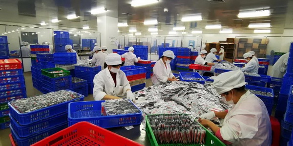 XPJ·娱乐(中国区)官方网站