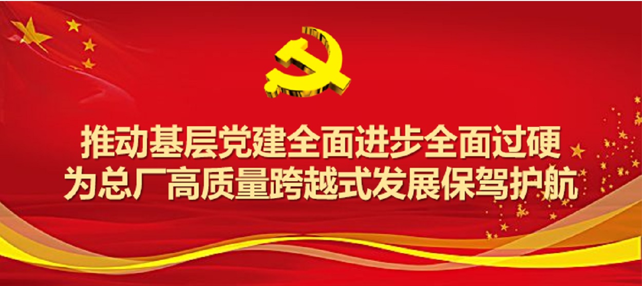 XPJ圆满完成2019年度党支部事情及党支部书记考评事情